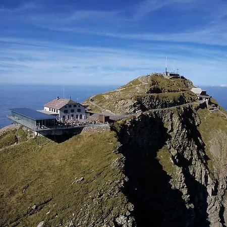 Edelweiss 4 Zi In Appartement Frutigen