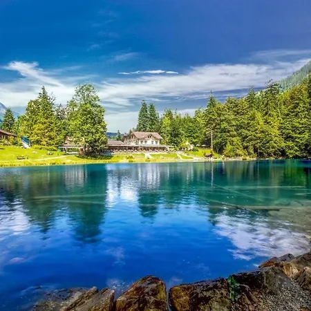 Edelweiss 4 Zi In Frutigen