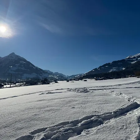Edelweiss 4 Zi In