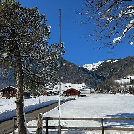 Apartment Edelweiss 4 Zi In