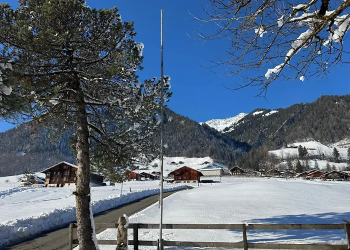 Διαμέρισμα Edelweiss 4 Zi In